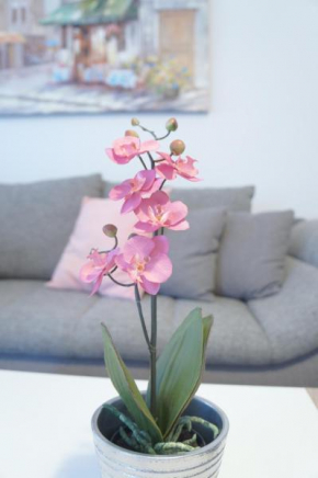 Гостиница Apartment Vienna  Вена